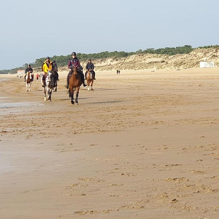 Appartement à 1km des plages avec 2 vélos élec - Appartement 1 Chambre - 12