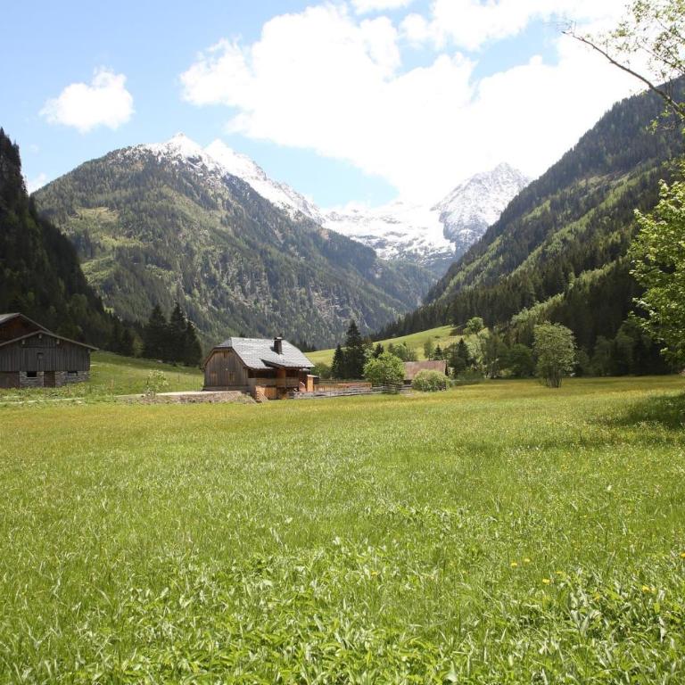 Die weisse Wand Almen - Chalet mit 2 Schlafzimmern und Dusche - 1