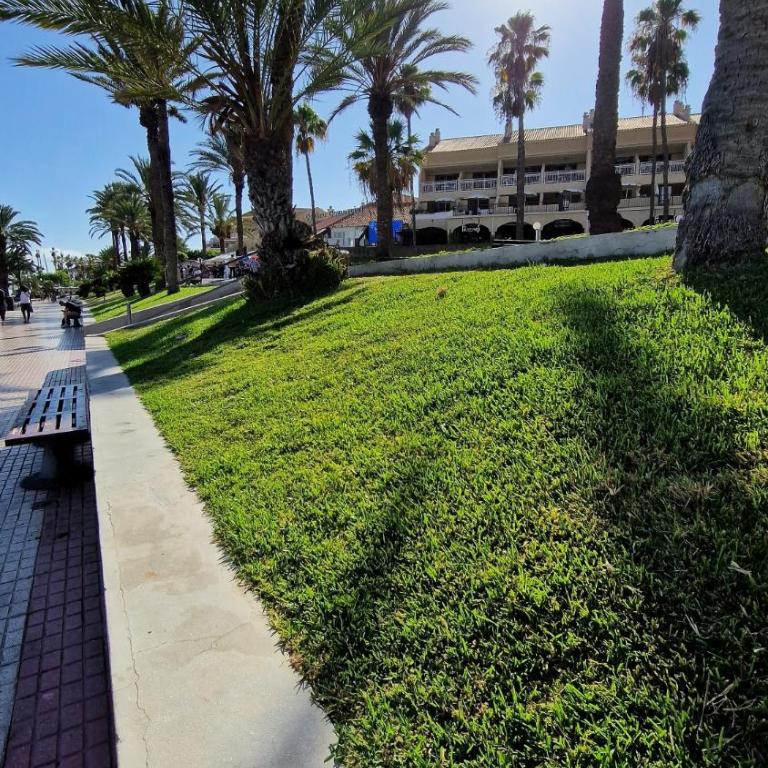 Torres Del Sol Luxury Las Americas - Apartamento de 1 dormitorio - 77