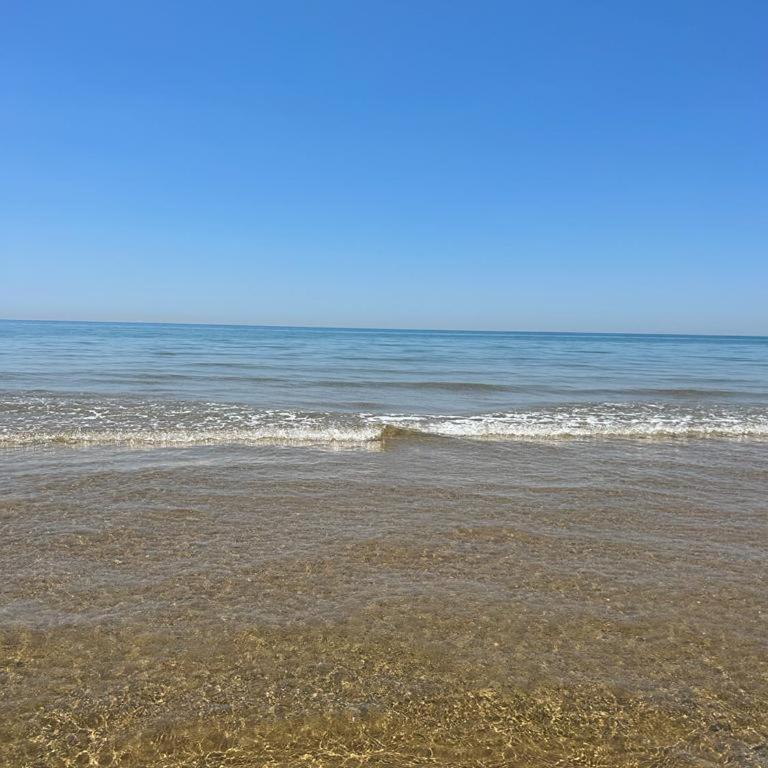Villa Chiara - Villa Fronte Spiaggia - 65