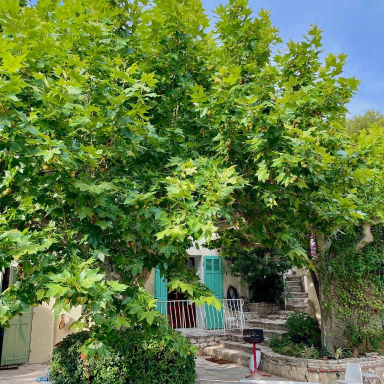 Same Home - Three-Bedroom Villa - 76