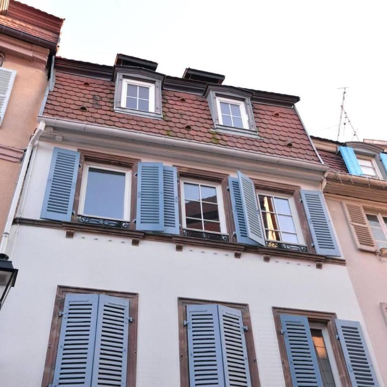 Appartement Les Cigognes du Centre - Appartamento Standard - 25