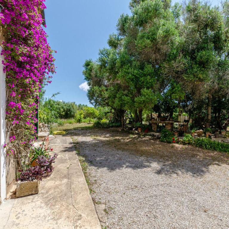 Finca Es Galliner - Villa - 53