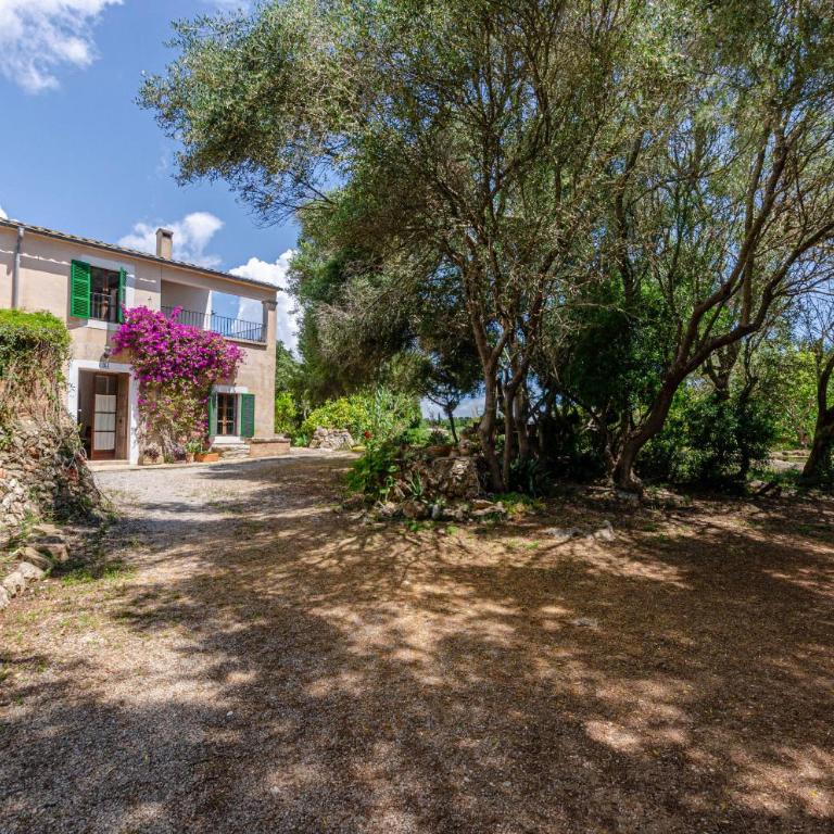 Finca Es Galliner - Villa - 51