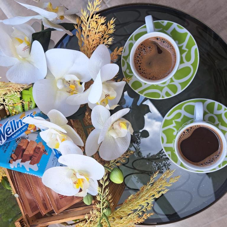 Apartman Tamjanika LUX - Apartman sa 1 Spavaćom Sobom - 70