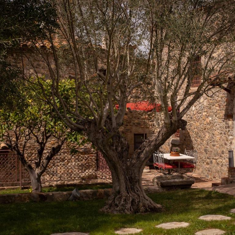 Hotel Mas 1670 - Adults Only - Suite Superior - 6
