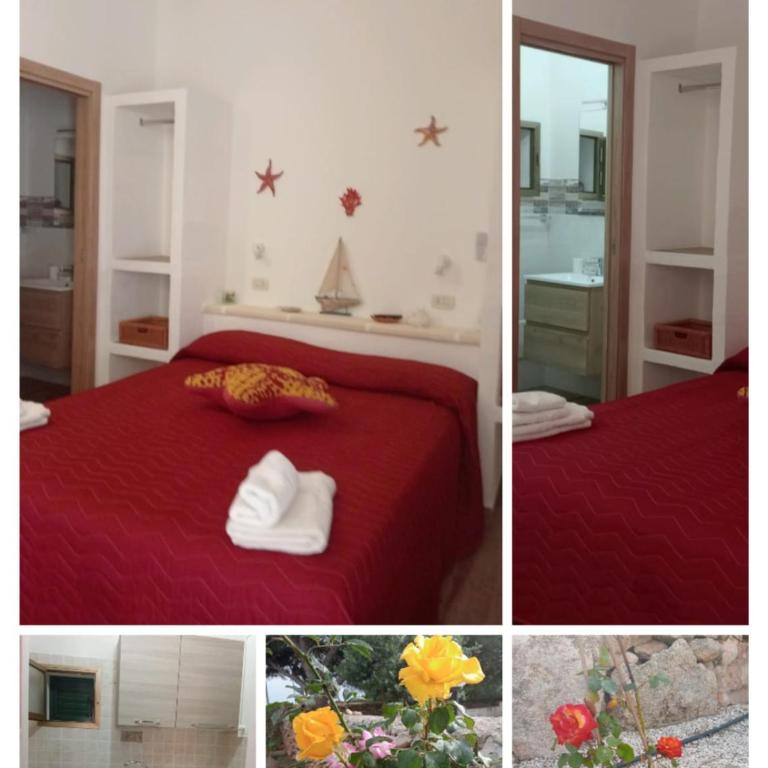 Il corallo rosso - Appartamento Monolocale - 28