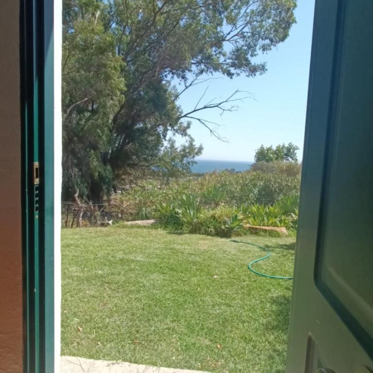 Cancho de Soto 1 - Apartamento de 1 dormitorio - 10