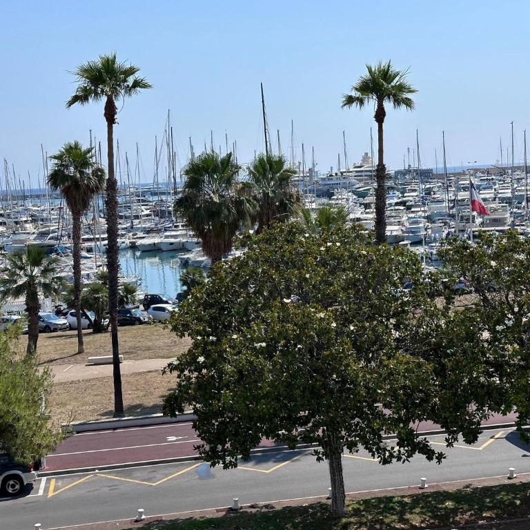 Studio Antibes Port Vauban. - Appartamento Monolocale con Vista Mare - 17