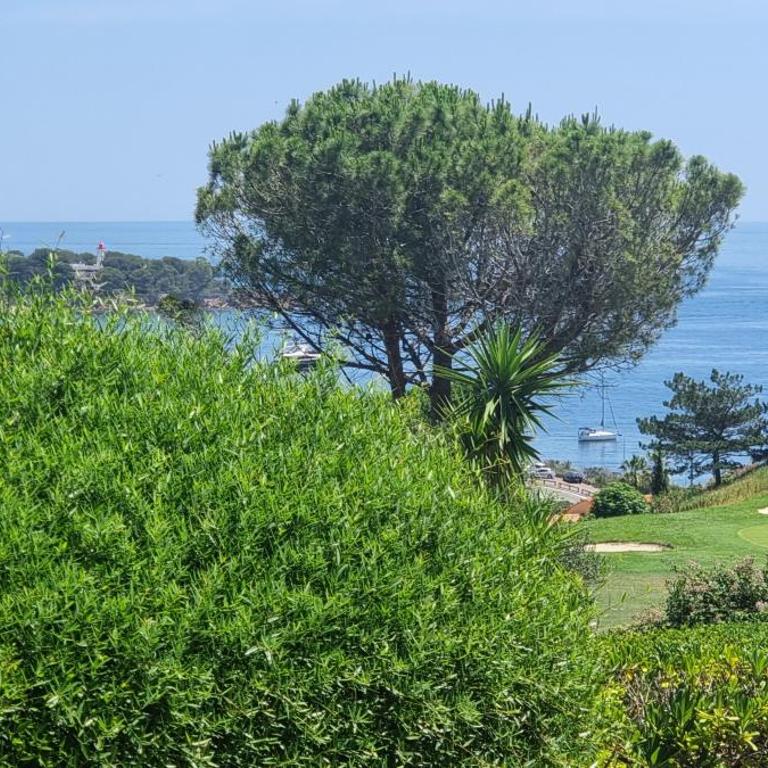Agay Cap Esterel Le Hameau F2 Clim plein sud dernier etage Magnifique vue mer - Appartement 1 Chambre - 63