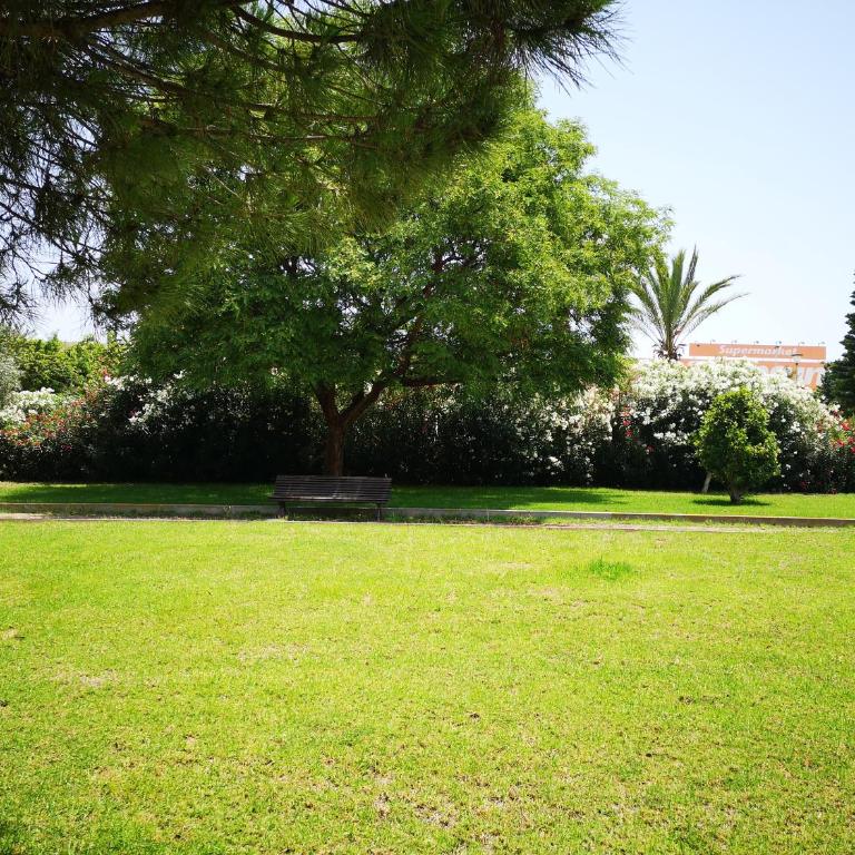 Bungalow en Punta Prima 2 dormitorios y piscina - Bungalow de 2 dormitorios - 17