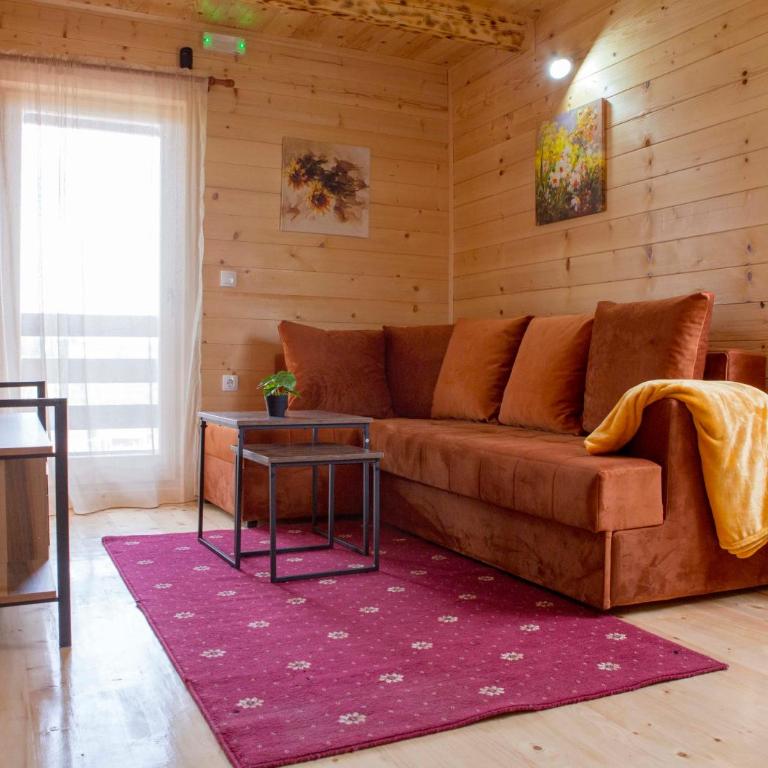 D&S Kovacevic Apartments Zabljak - One-Bedroom Apartment - 2
