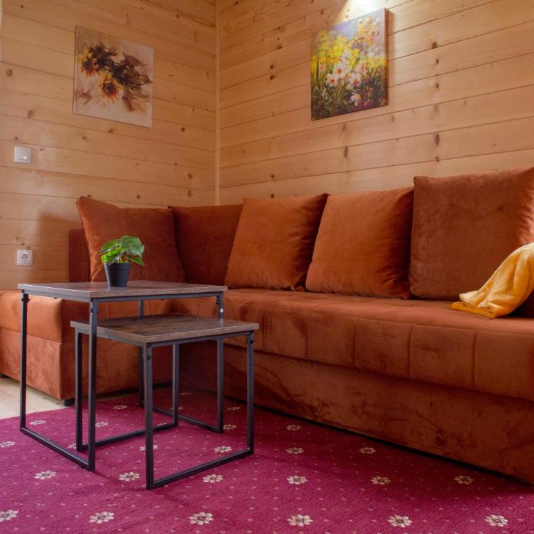 D&S Kovacevic Apartments Zabljak - One-Bedroom Apartment - 11