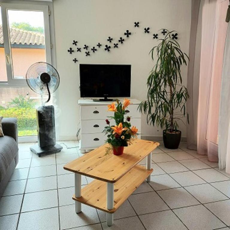 Gîte classé 3 étoiles dans résidence standing avec - Piscine Clim Parking Wifi Prêt Vélos - Ménage et linge non inclus - Apartment with Terrace - 11