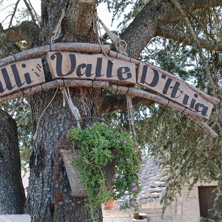 Trulli in Valle D'Itria - Casa Vacanze - 4