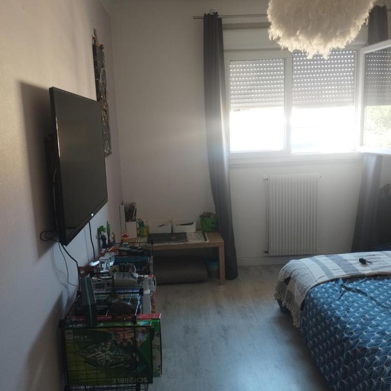 charmant appartement 3 pièces - Two-Bedroom Apartment - 41