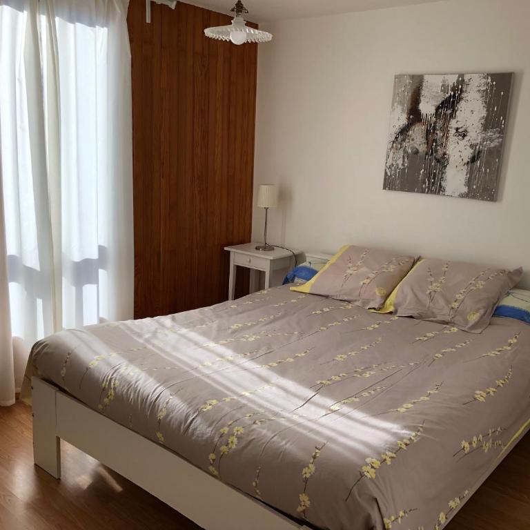 Le Perce Neige - plein centre - avec parking - Apartment - Split Level - 11