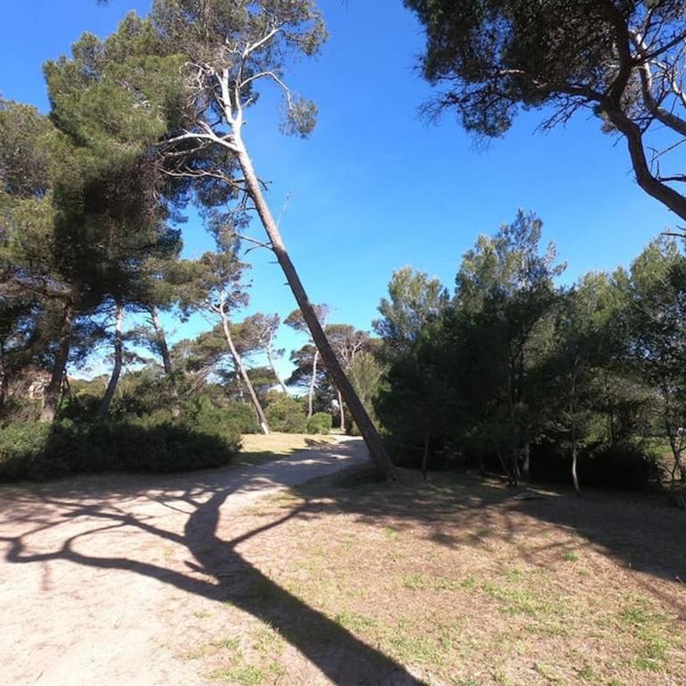 Presqu'ile de Giens - Hameau de la Pinede - Apartment mit 1 Schlafzimmer - 30