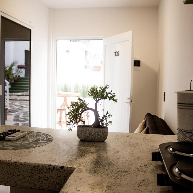 La Quinta Caribeña - One-Bedroom Apartment - 3
