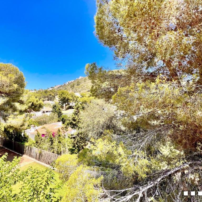 VH CostaBlanca - CARMEN - Villa con piscina privada - 42