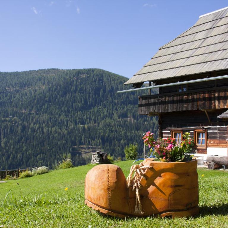 Schrunerhof - Apartment mit Blick auf die Berge - 10