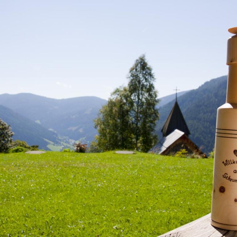 Schrunerhof - Apartment mit Blick auf die Berge - 30