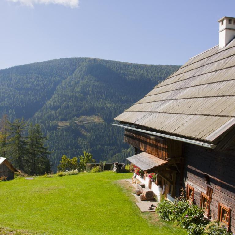 Schrunerhof - Apartment mit Blick auf die Berge - 9