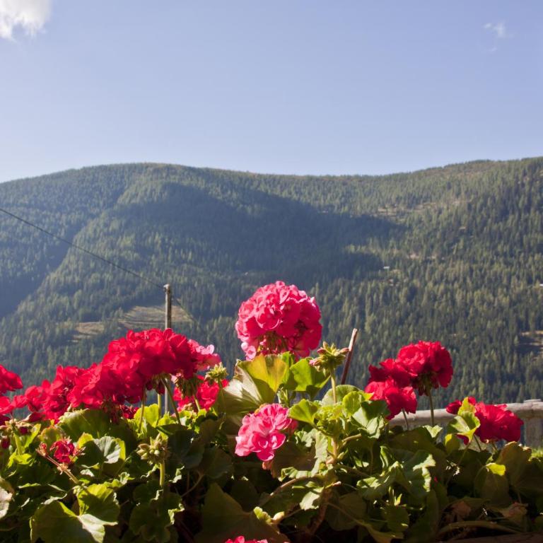 Schrunerhof - Apartment mit Blick auf die Berge - 32