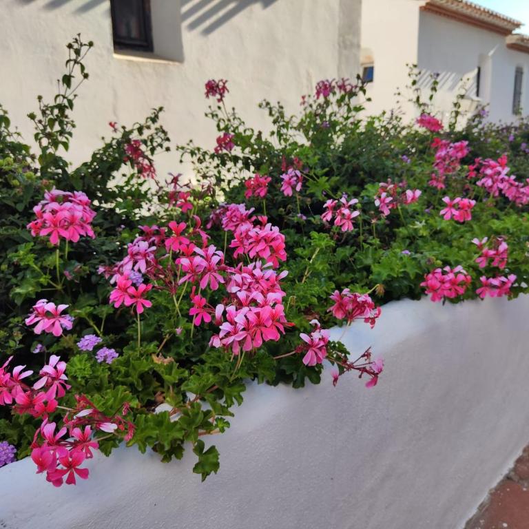 Holidays & Home Doña Lola Resort Calahonda - Apartamento de 1 dormitorio - 38