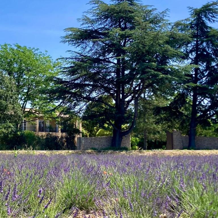 Appartement Harmonie T2-Climatisation, grand Jardin & Parking privé au calme - Apartamento de 1 dormitorio - 6