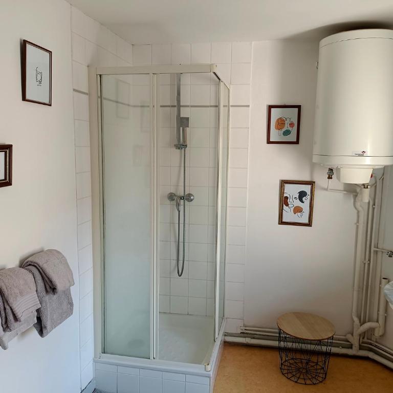 T2 vue sur Loire local vélo - Appartement 1 Chambre - 8