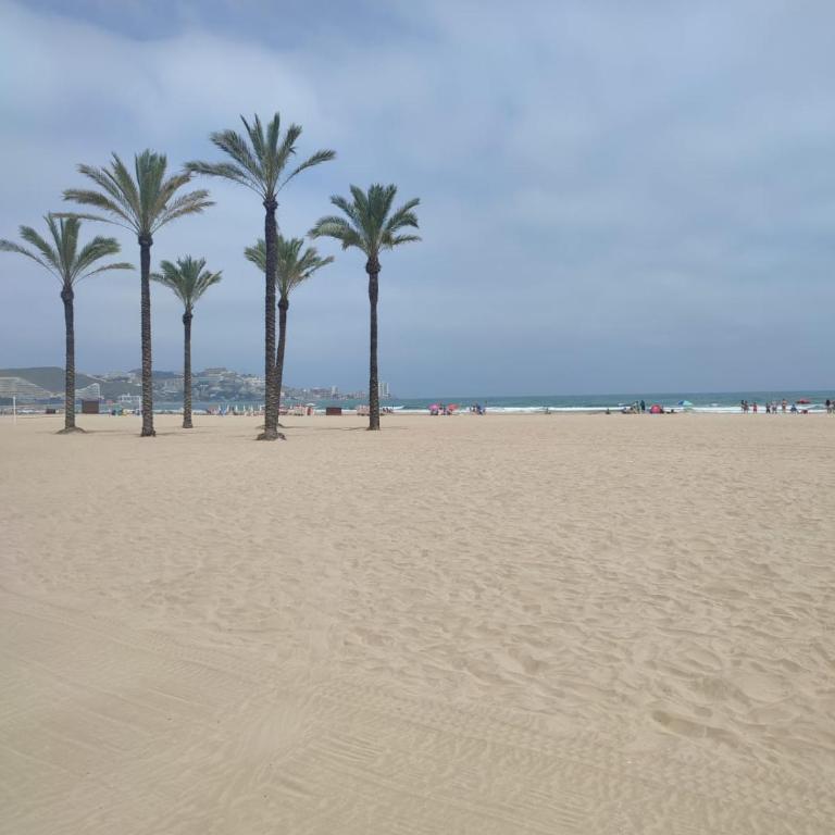 Entre el MAR y la COLINA - Two-Bedroom Apartment - 26