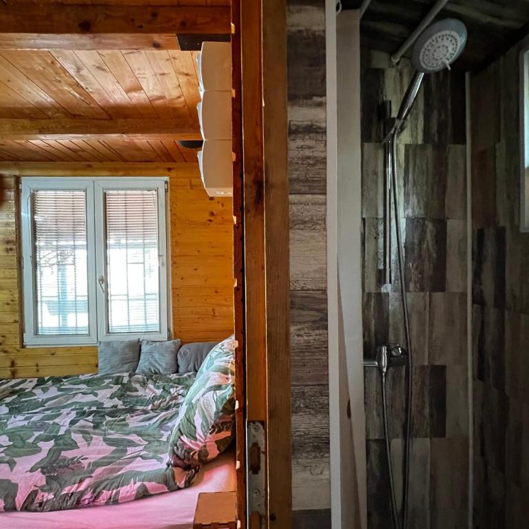 Kuca i splav na reci Savi - Vikendica - 5