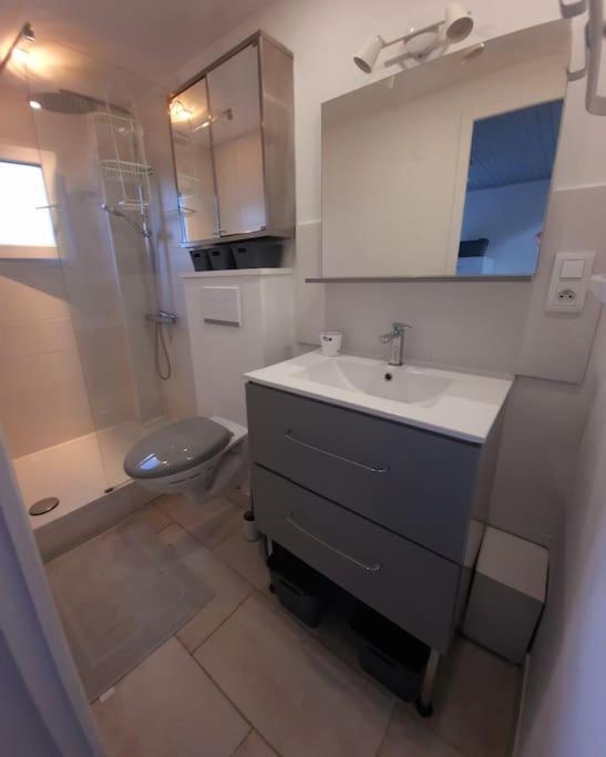 adorable guest house avec jardin et parking privatif - Maison 1 Chambre - 9