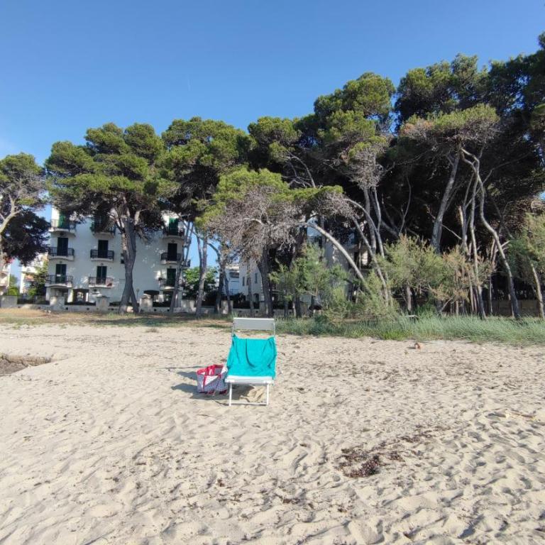 Suite con terrazzo sul mare e discesa in spiaggia a Gallipoli - Appartamento con Terrazza - 12
