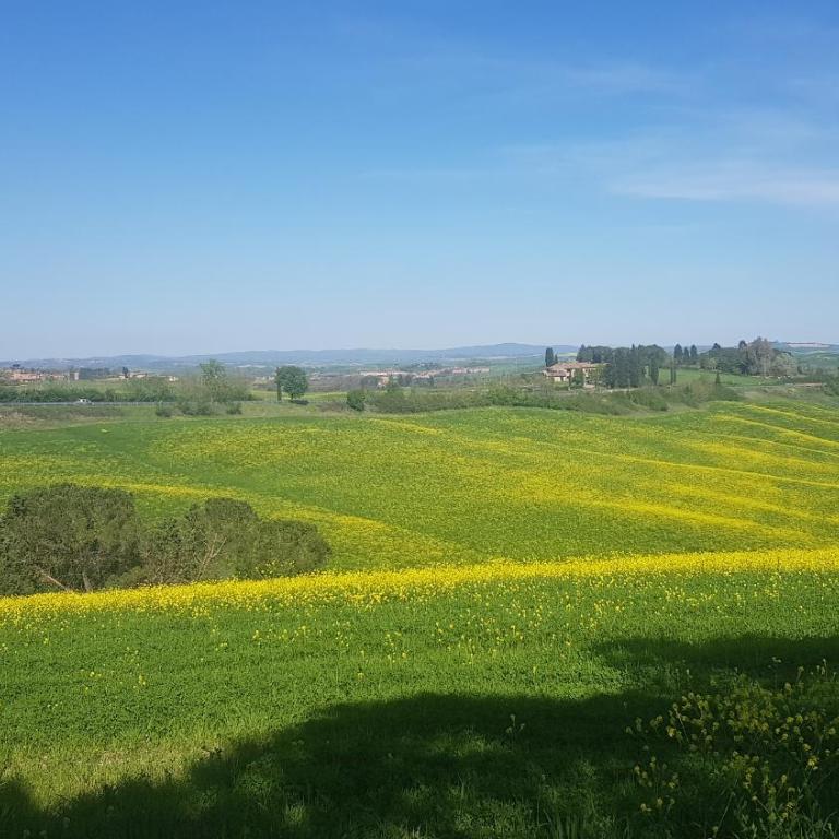 Gli Ulivi di Siena - Casa con 2 Camere da Letto - 4