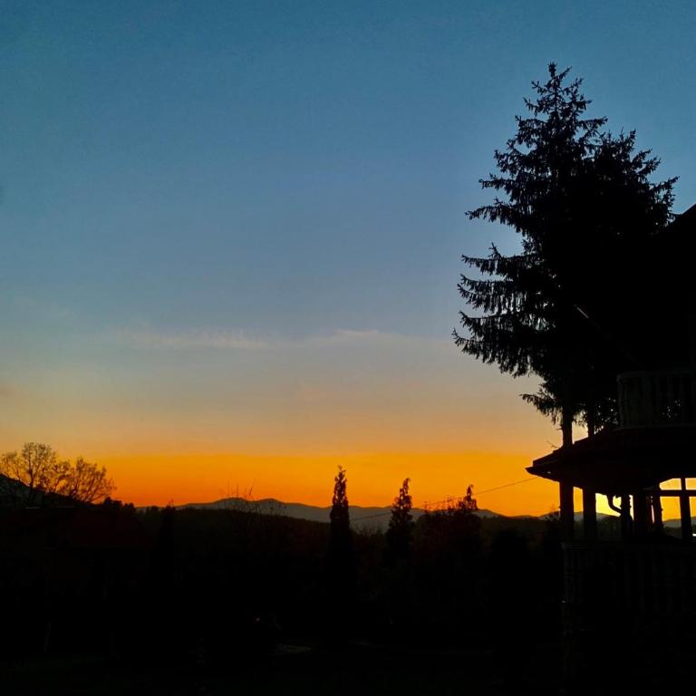 Villa Gagula - Kuća sa 3 Spavaće Sobe - 14
