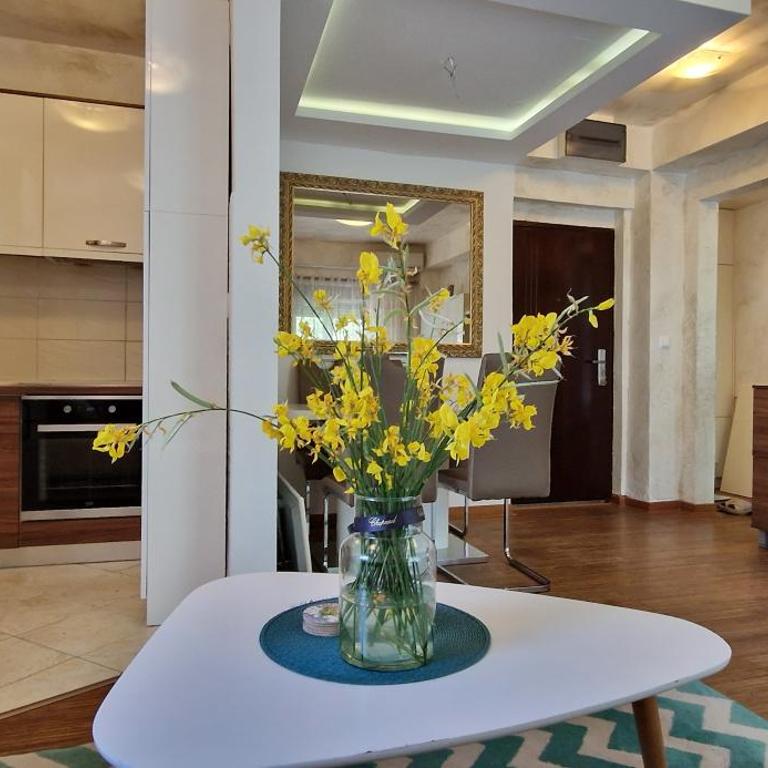 One Bedroom Apartment Petrovac - Apartman sa 1 Spavaćom Sobom - 12