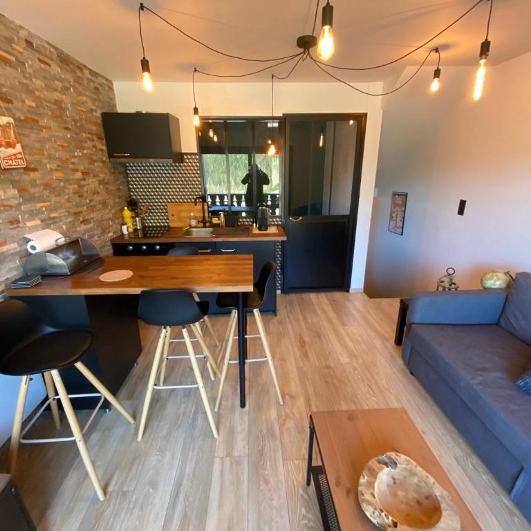 Studio cabine charmant idéalement situé à Châtel - FR-1-693-97 - Studio - 2