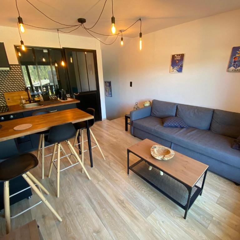 Studio cabine charmant idéalement situé à Châtel - FR-1-693-97 - Studio - 5