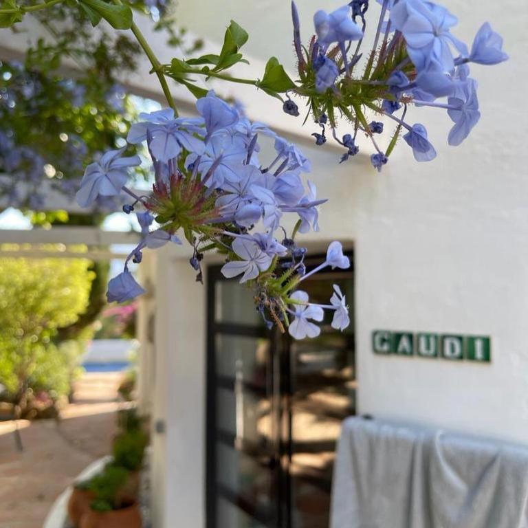 La Careza De Mijas - Adults Only - Estudio con terraza - 1