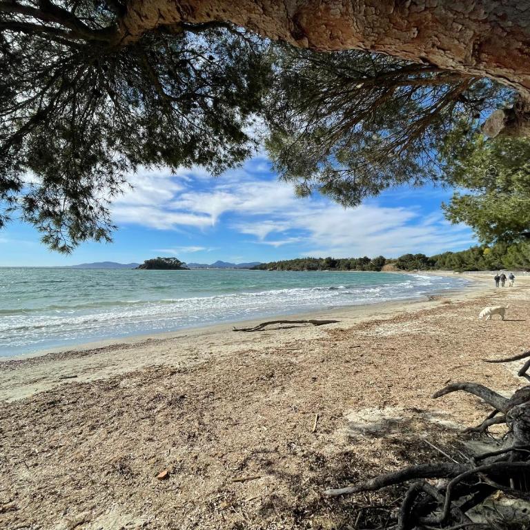 Appartement plage piscine et tennis inclus - One-Bedroom Apartment - 41
