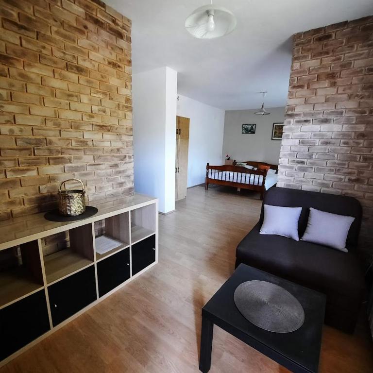 Apartman Veljković Dragana - One-Bedroom Apartment - 1