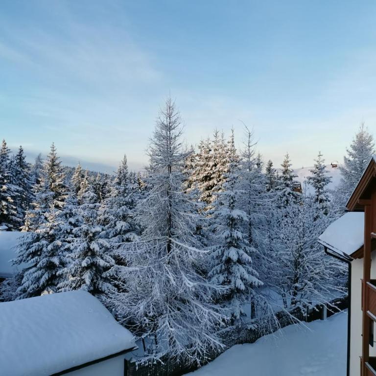 Panorama Apartment Gerlitzen - Apartment mit Balkon - 42