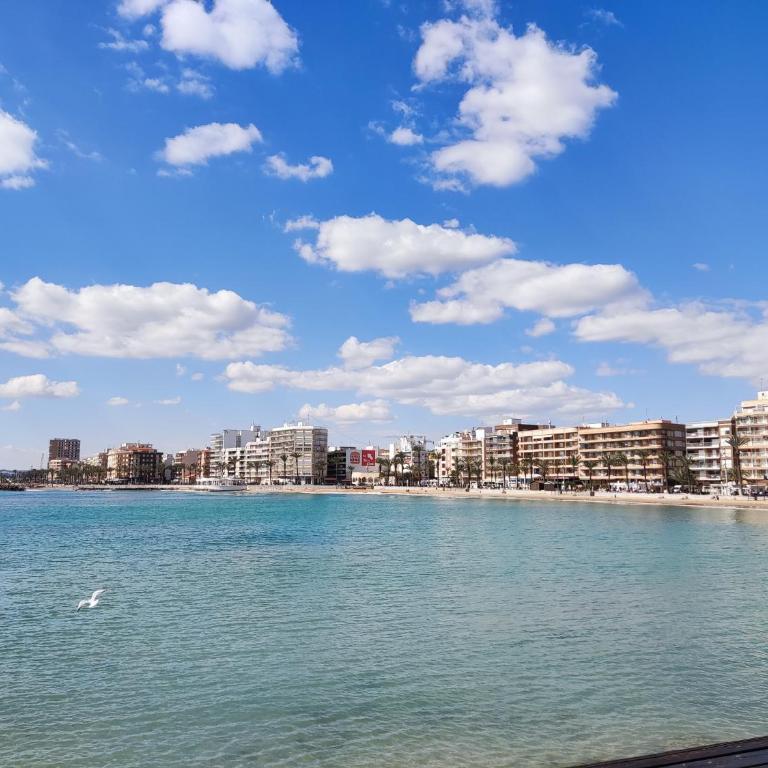 Torrevieja modern apartment with swimming pool - Apartamento de 1 dormitorio - 14