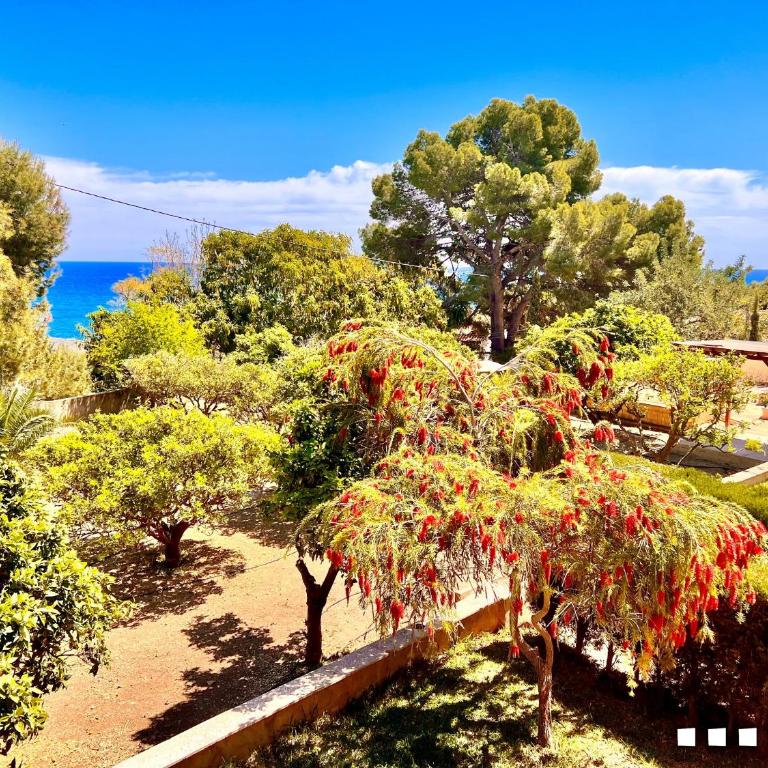 VH Costa Blanca - LLOBELLA - Villa con piscina privada - 48
