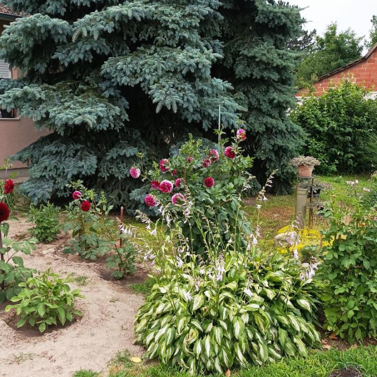 sobe MAŠA - Double Room - 62