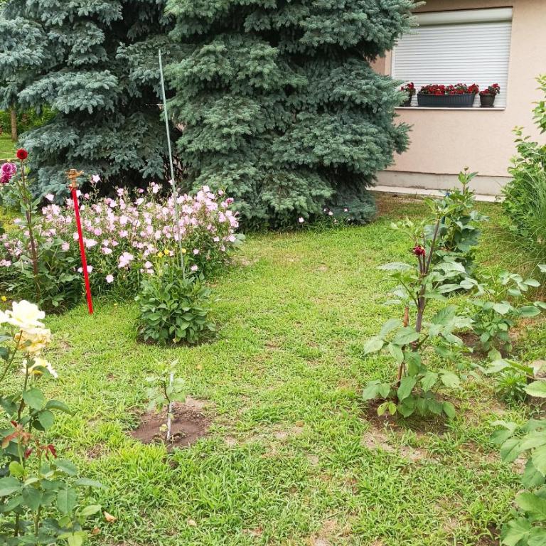 sobe MAŠA - Double Room - 64