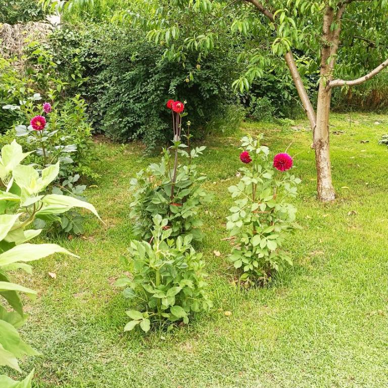 sobe MAŠA - Double Room - 69