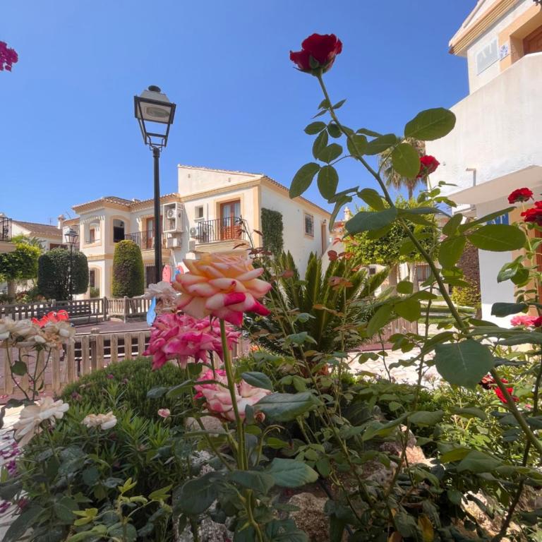 Casa de Violeta en Vera Coast - Apartamento de 1 dormitorio - 11